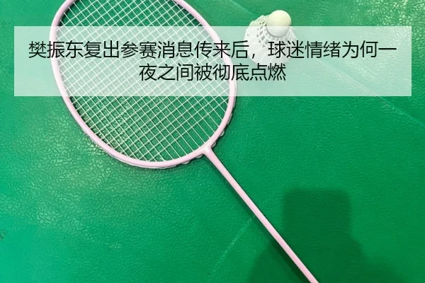 樊振东复出参赛消息传来后，球迷情绪为何一夜之间被彻底点燃